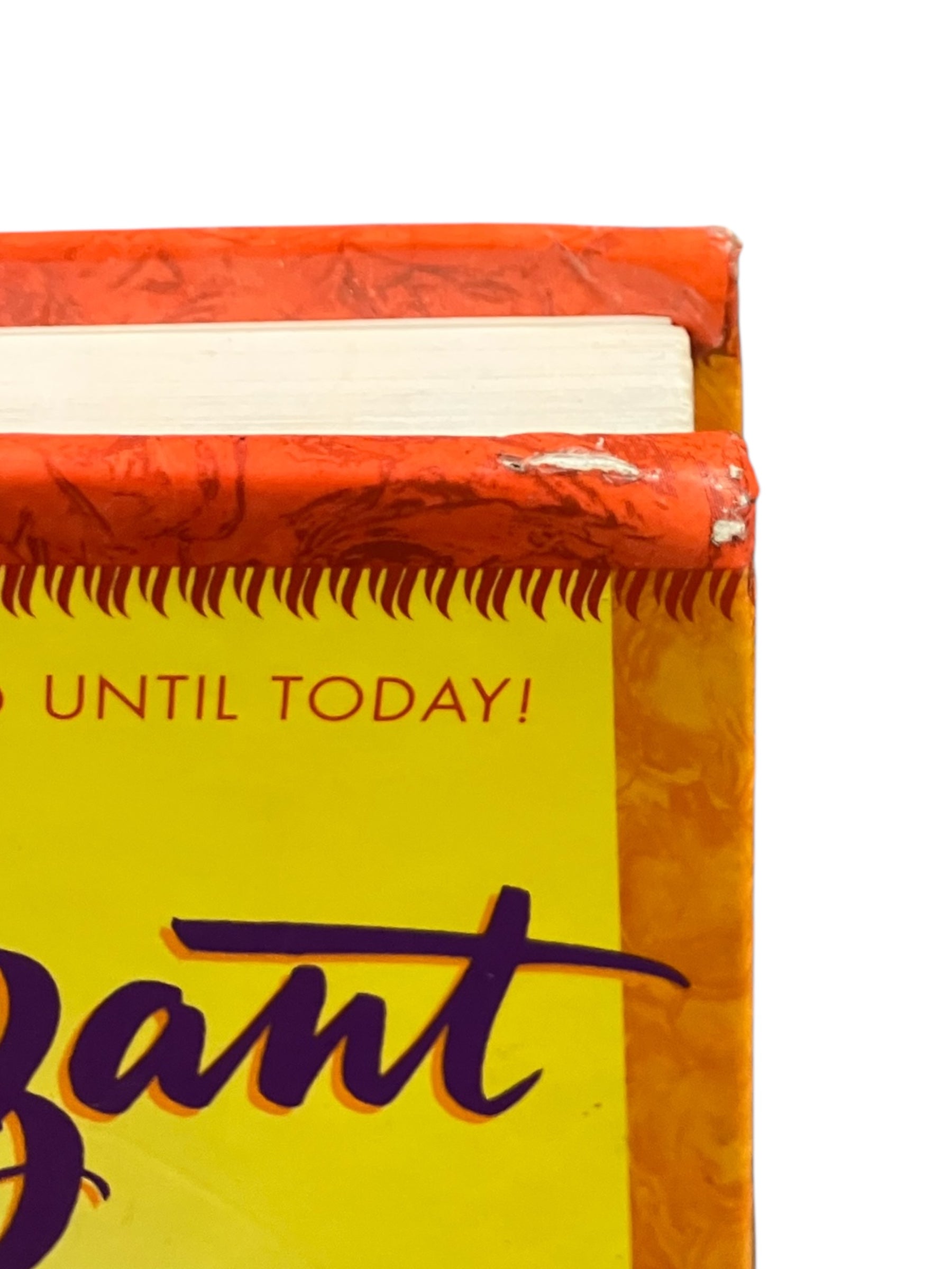 Vintage 90s Living in the Meantime Book