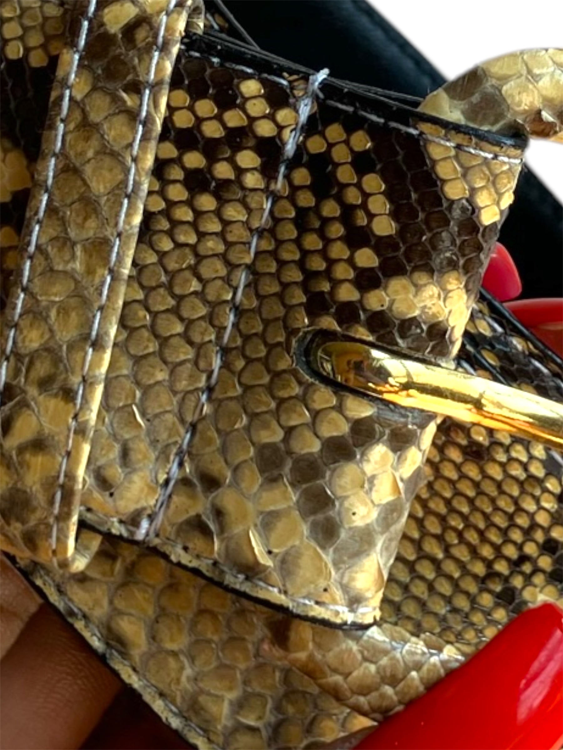 Vintage Python Skin Belt